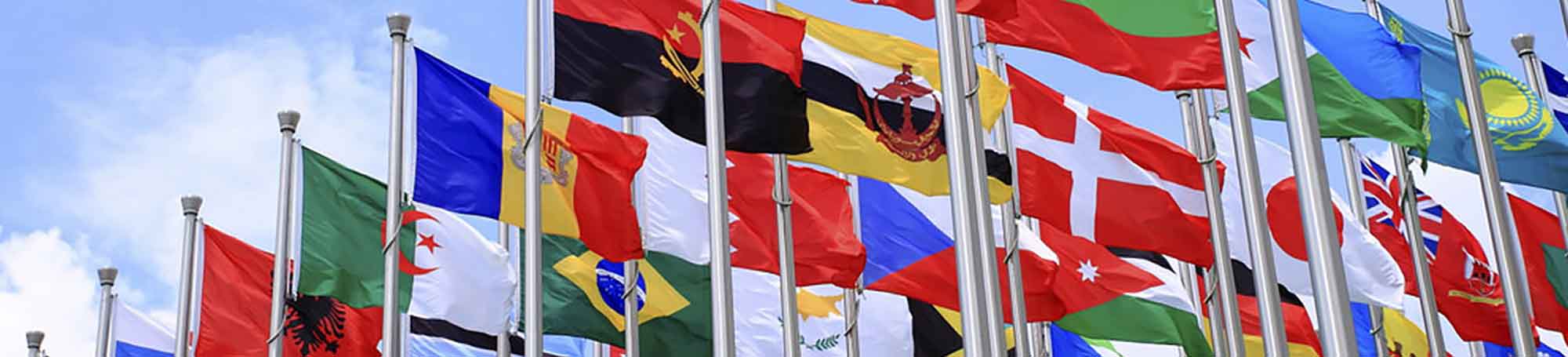 immigration-flags Immigration